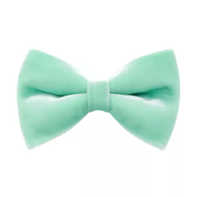 Made By Cleo® Velvet Cat Bow Tie - Image 1
