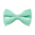 Made By Cleo® Velvet Cat Bow Tie image thumbnail 1
