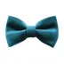 Made By Cleo® Velvet Cat Bow Tie image thumbnail 1