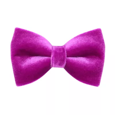 Product Made By Cleo® Velvet Cat Bow Tie
