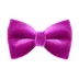 Made By Cleo® Velvet Cat Bow Tie image thumbnail 1