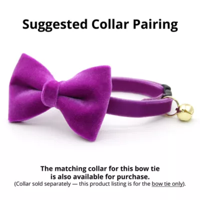 Product Made By Cleo® Velvet Cat Bow Tie