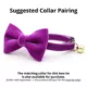 Product Made By Cleo® Velvet Cat Bow Tie