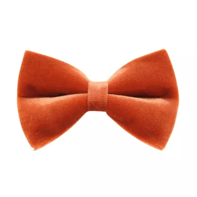 Made By Cleo® Velvet Cat Bow Tie - Image 1