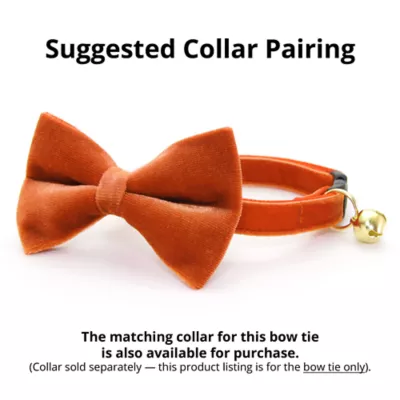 Made By Cleo® Velvet Cat Bow Tie - Image 2