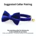 Made By Cleo® Velvet Cat Bow Tie image thumbnail 2