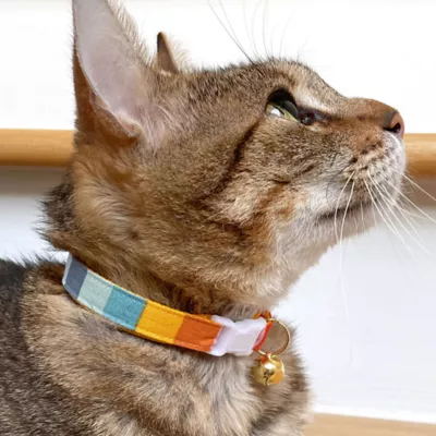 Product Made By Cleo® Carousel Rainbow Breakaway Cat Collar