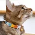 Made By Cleo® Carousel Rainbow Breakaway Cat Collar image thumbnail 3
