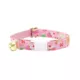 Product Made By Cleo® Sugar & Spice Gingerbread Breakaway Cat Collar