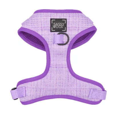 Sassy Woof Aurora Dog Harness, Leash and Waste Bag Holder Bundle - Image 2