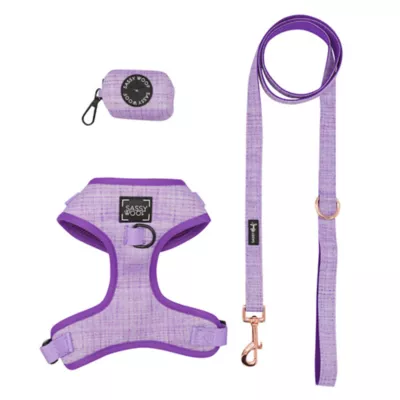 Product Sassy Woof Aurora Dog Harness, Leash and Waste Bag Holder Bundle