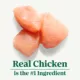 Product Nutro Natural Choice Small Bites Adult Dog Dry Food - Chicken & Brown Rice