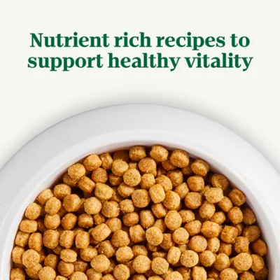 Product Nutro Natural Choice Small Bites Adult Dog Dry Food - Chicken & Brown Rice