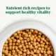 Product Nutro Natural Choice Small Bites Adult Dog Dry Food - Chicken & Brown Rice