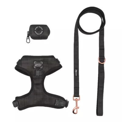 Sassy Woof Baby Got Black Dog Harness, Leash and Waste Bag Holder Bundle - Image 1