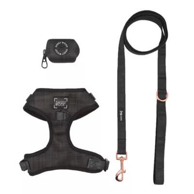 Sassy Woof Baby Got Black Dog Harness, Leash and Waste Bag Holder Bundle - Image 1
