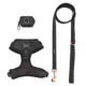 Product Sassy Woof Baby Got Black Dog Harness, Leash and Waste Bag Holder Bundle