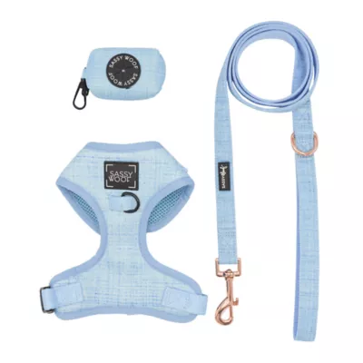 Sassy Woof Blumond Dog Harness, Leash and Waste Bag Holder Bundle - Image 1
