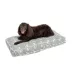 Snoozer® Pedigree Storm Indoor/Outdoor Rectangle Dog Bed image thumbnail 1