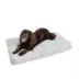 Snoozer® Ramey Gray Indoor/Outdoor Rectangle Dog Bed image thumbnail 1