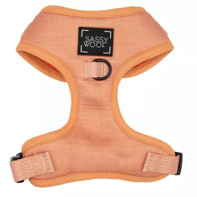 Sassy Woof Apple Cider Dog Harness, Leash and Waste Bag Holder Bundle - Image 2