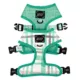 Product Sassy Woof Wag Your Teal Dog Harness, Leash and Waste Bag Holder Bundle