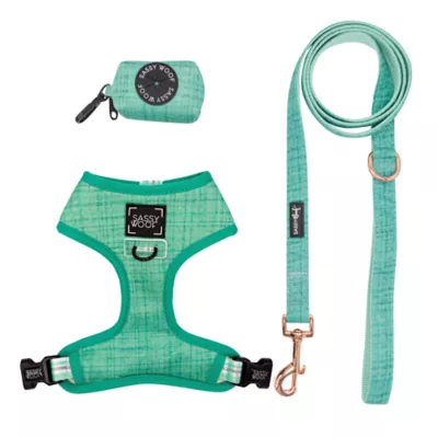 Sassy Woof Wag Your Teal Dog Harness, Leash and Waste Bag Holder Bundle - Image 1