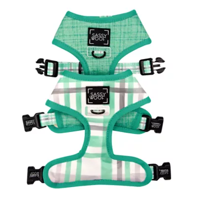 Sassy Woof Wag Your Teal Dog Harness, Leash and Waste Bag Holder Bundle - Image 2