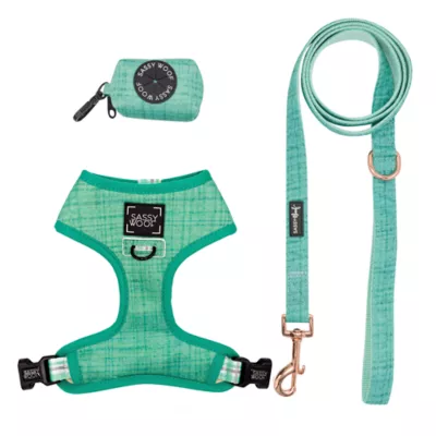 Sassy Woof Wag Your Teal Dog Harness, Leash and Waste Bag Holder Bundle - Image 1