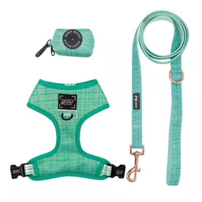 Product Sassy Woof Wag Your Teal Dog Harness, Leash and Waste Bag Holder Bundle