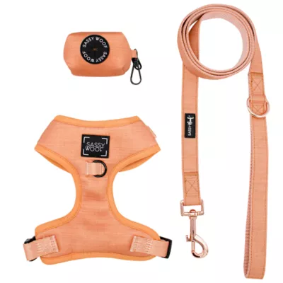 Product Sassy Woof Apple Cider Dog Harness, Leash and Waste Bag Holder Bundle