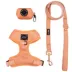 Sassy Woof Apple Cider Dog Harness, Leash and Waste Bag Holder Bundle image thumbnail 1
