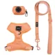 Product Sassy Woof Apple Cider Dog Harness, Leash and Waste Bag Holder Bundle