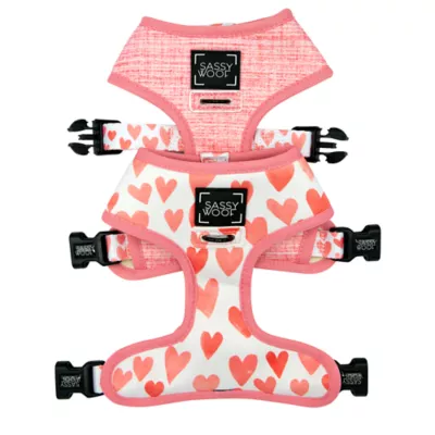 Sassy Woof Dolce Rose Dog Harness, Leash and Waste Bag Holder Bundle - Image 2