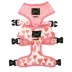 Sassy Woof Dolce Rose Dog Harness, Leash and Waste Bag Holder Bundle image thumbnail 2