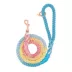 Sassy Woof Bright Dog Rope Leash: 5-ft long image thumbnail 1