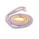 Product Sassy Woof Caroline Dog Rope Leash: 5-ft long