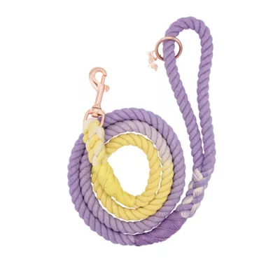 Product Sassy Woof Dukes Dog Rope Leash: 5-ft long