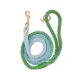 Product Sassy Woof Minty Dog Rope Leash: 5-ft long