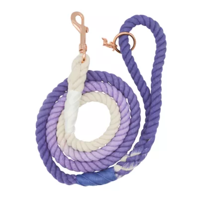 Product Sassy Woof Ombre Purple Dog Rope Leash: 5-ft long