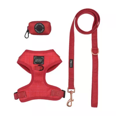 Sassy Woof Merlot Dog Harness, Leash and Waste Bag Holder Bundle - Image 1