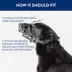 Top Paw® Adjustable Basket Muzzle image thumbnail 5