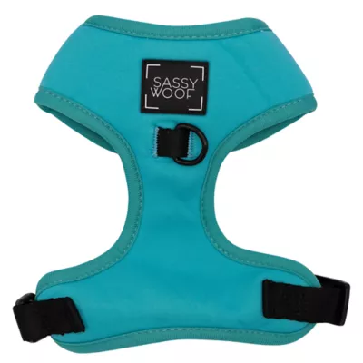 Sassy Woof Neon Dog Harness, Leash and Waste Bag Holder Bundle - Image 2
