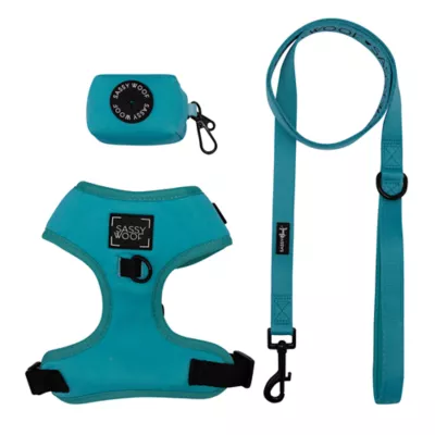 Product Sassy Woof Neon Dog Harness, Leash and Waste Bag Holder Bundle