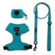Product Sassy Woof Neon Dog Harness, Leash and Waste Bag Holder Bundle