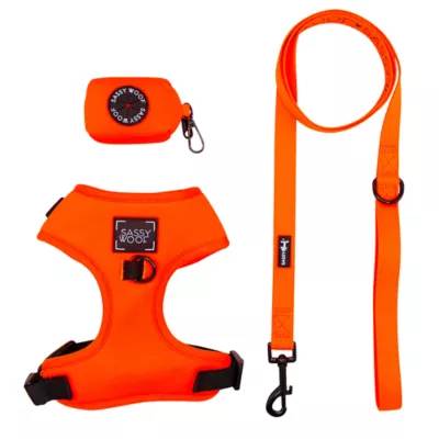 Product Sassy Woof Neon Dog Harness, Leash and Waste Bag Holder Bundle