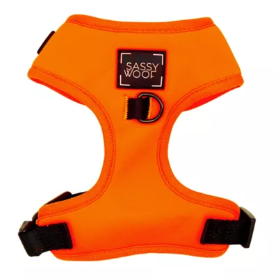 Product Sassy Woof Neon Dog Harness, Leash and Waste Bag Holder Bundle