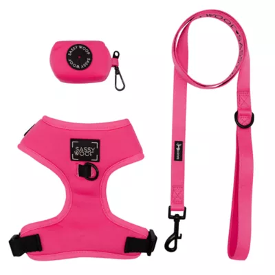 Product Sassy Woof Neon Dog Harness, Leash and Waste Bag Holder Bundle