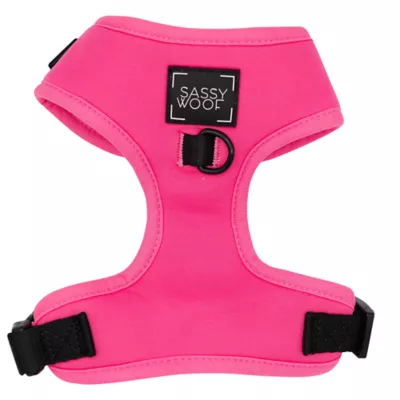 Product Sassy Woof Neon Dog Harness, Leash and Waste Bag Holder Bundle