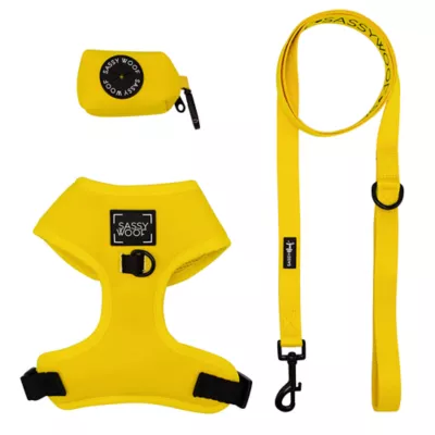 Product Sassy Woof Neon Dog Harness, Leash and Waste Bag Holder Bundle